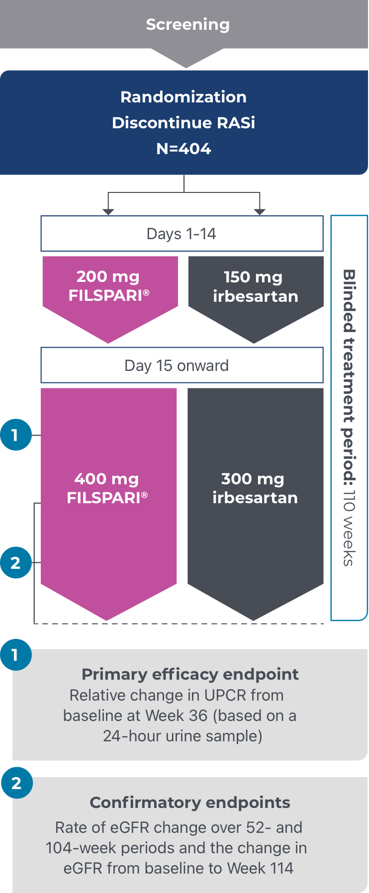 The PROTECT Study was a head-to-head trial designed to assess the efficacy and safety of FILSPARI versus irbesartan